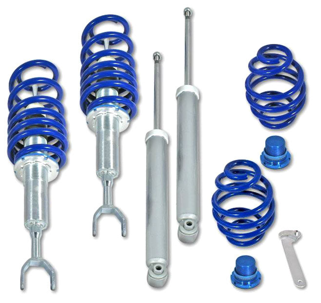 Triple-S schroefset voor VW Passat 3B, Passat 3BG